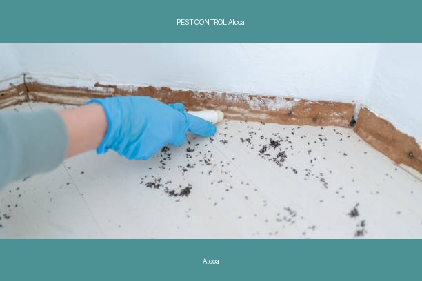 PEST CONTROL Alcoa